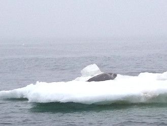 知床の海